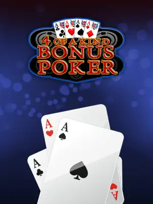 spindragon kind-bonus